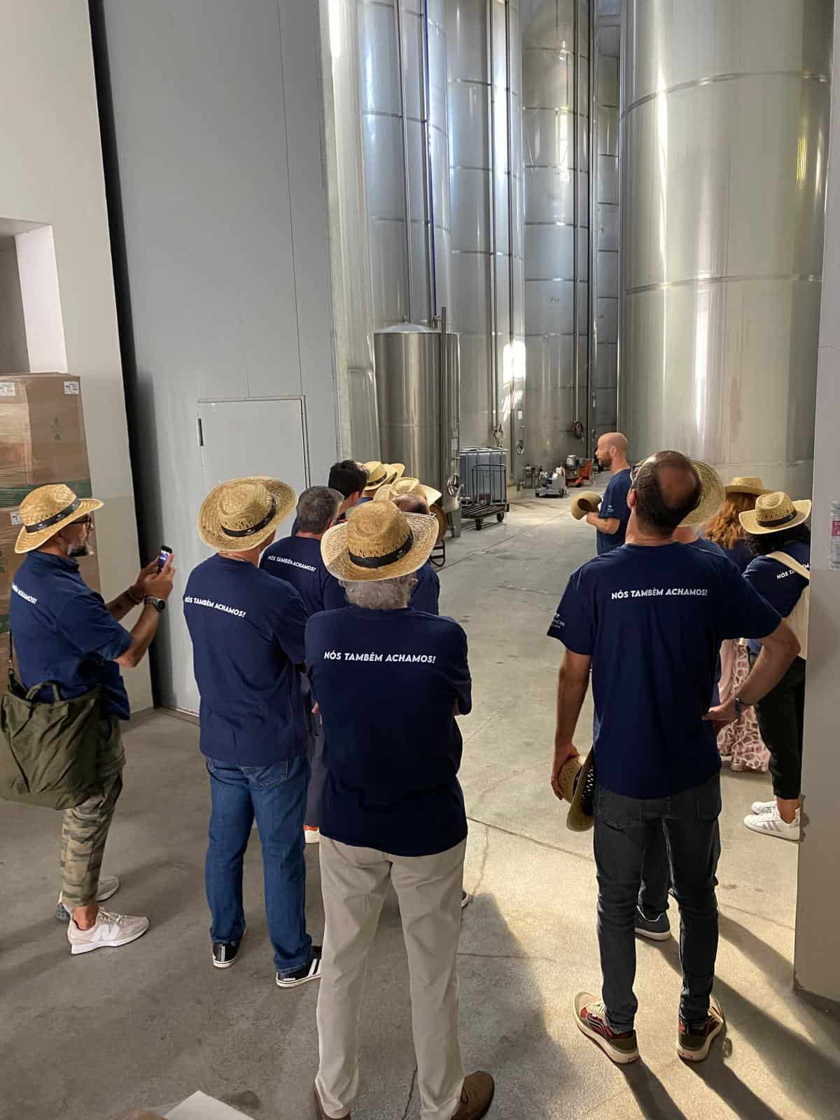 Degustação de vinho na adega de Venâncio da Costa Lima, com grupo de visitantes aprendendo sobre o processo de vinificação em tanques de aço inoxidável, destacando a experiência enológica de alta qualidade.