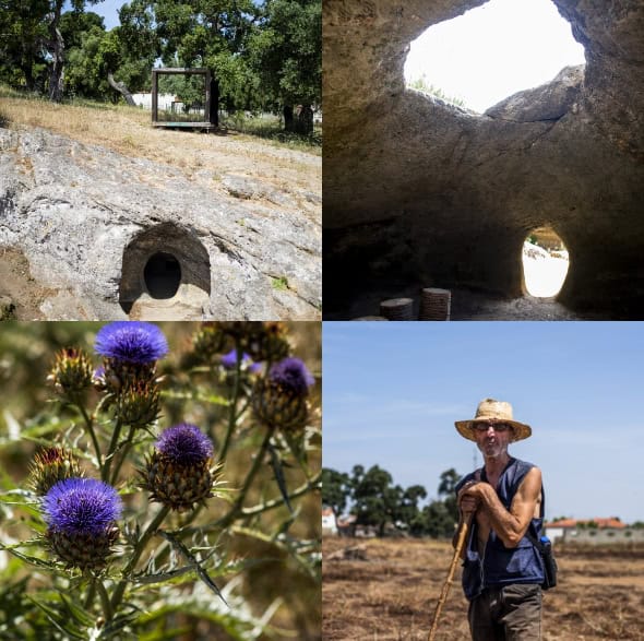 Rochas com formações naturais e buracos, ambiente de vinhedo e natureza em Portugal.